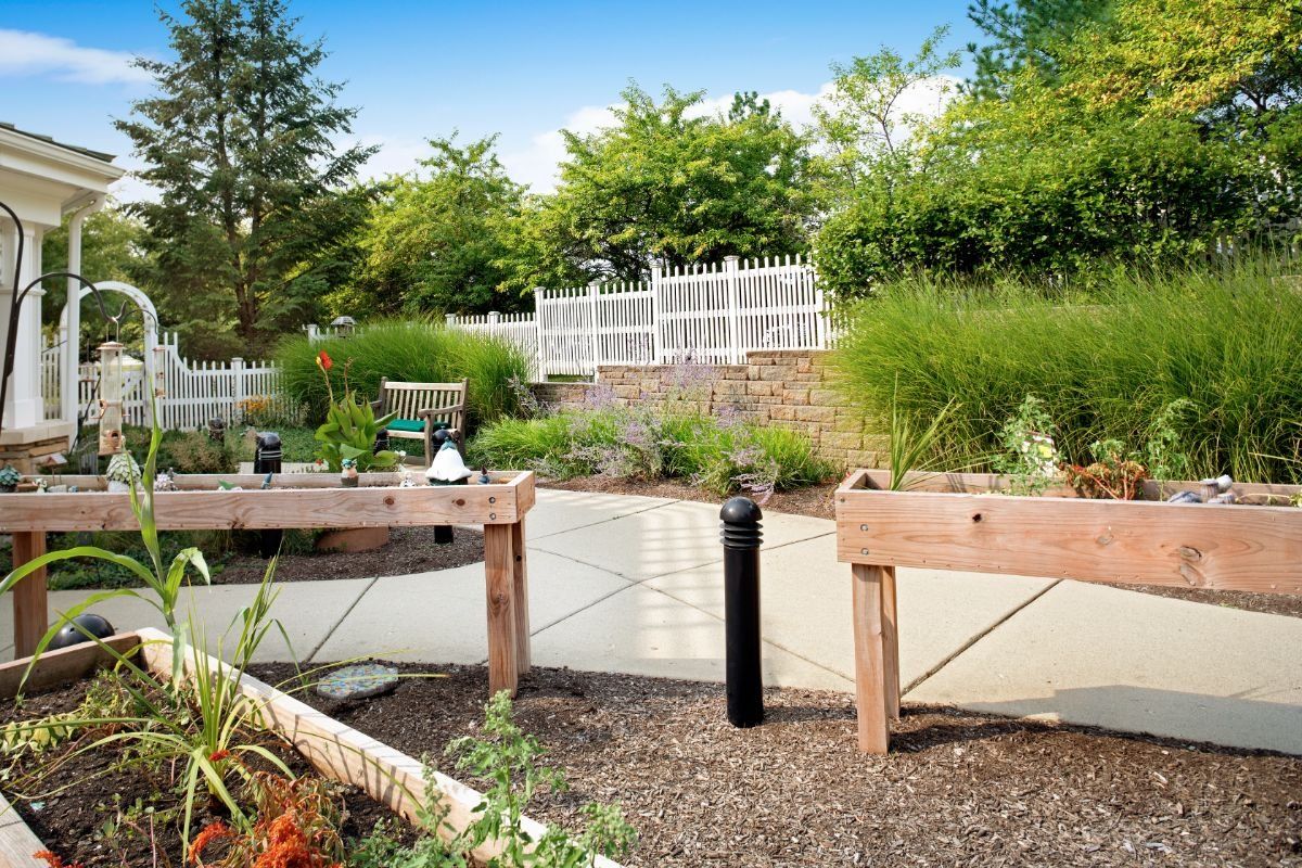 A serene outdoor garden with a pathway, lush greenery, and benches for relaxation.