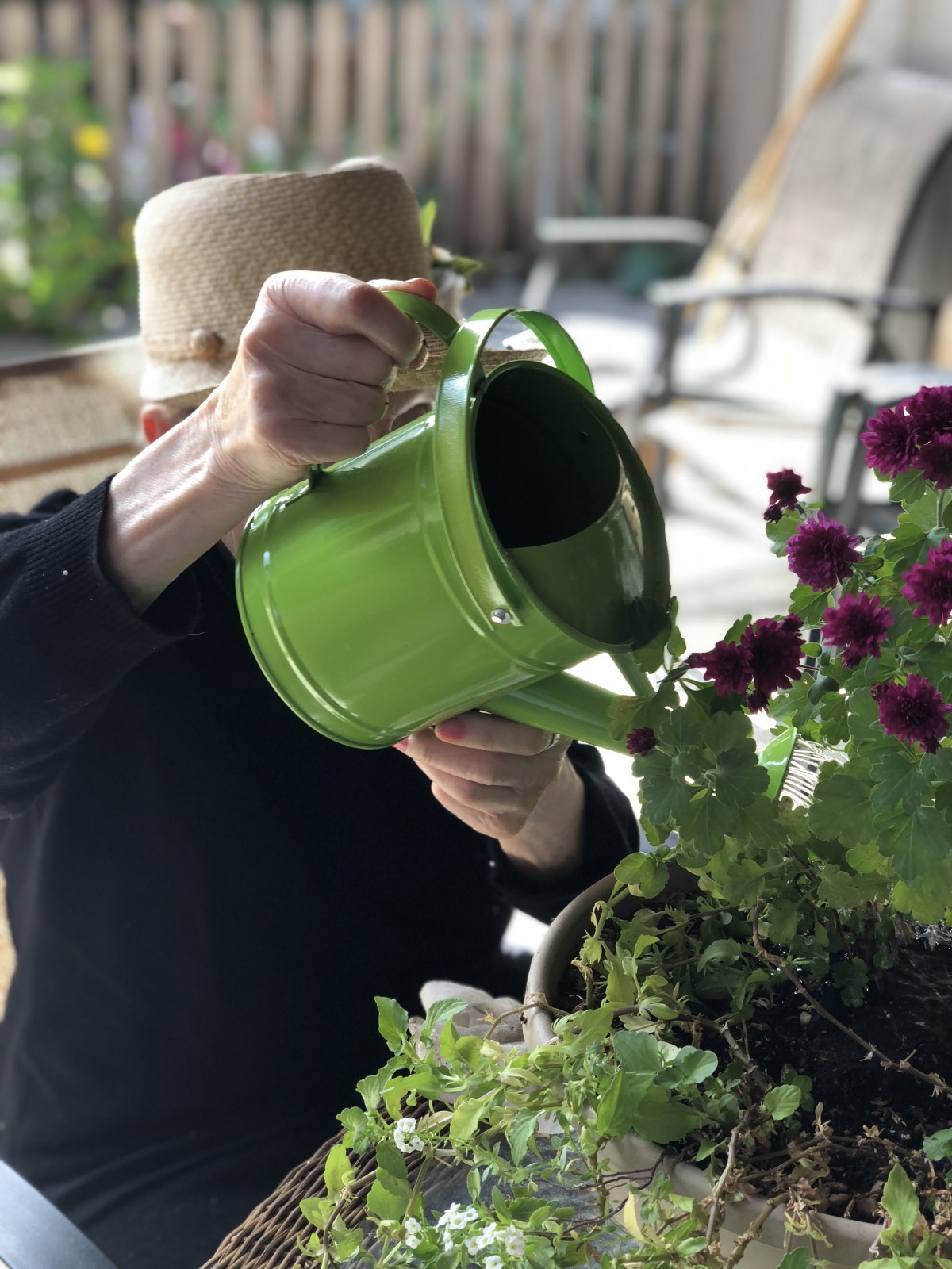 A person watering plants with a green watering can.