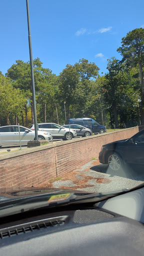 A view of a parking area with several cars surrounded by trees on a sunny day.