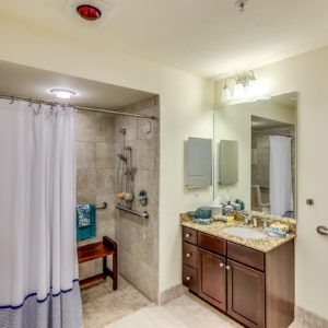 A well-lit bathroom with an accessible shower and a sink area.