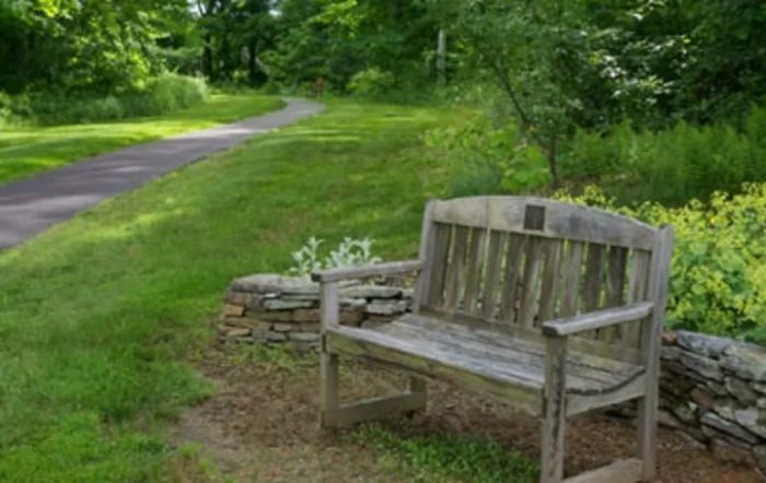 Mansfield Center For Nursing And Rehabilitation