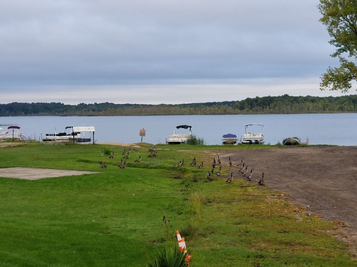 A scenic view of a lake with boats docked along the shore under a cloudy sky.