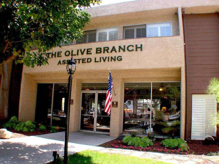 The Olive Branch