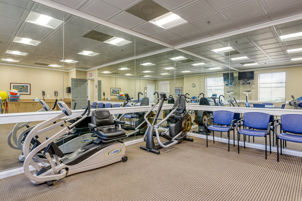 A well-equipped gym room with treadmills, ellipticals, and large mirrors.