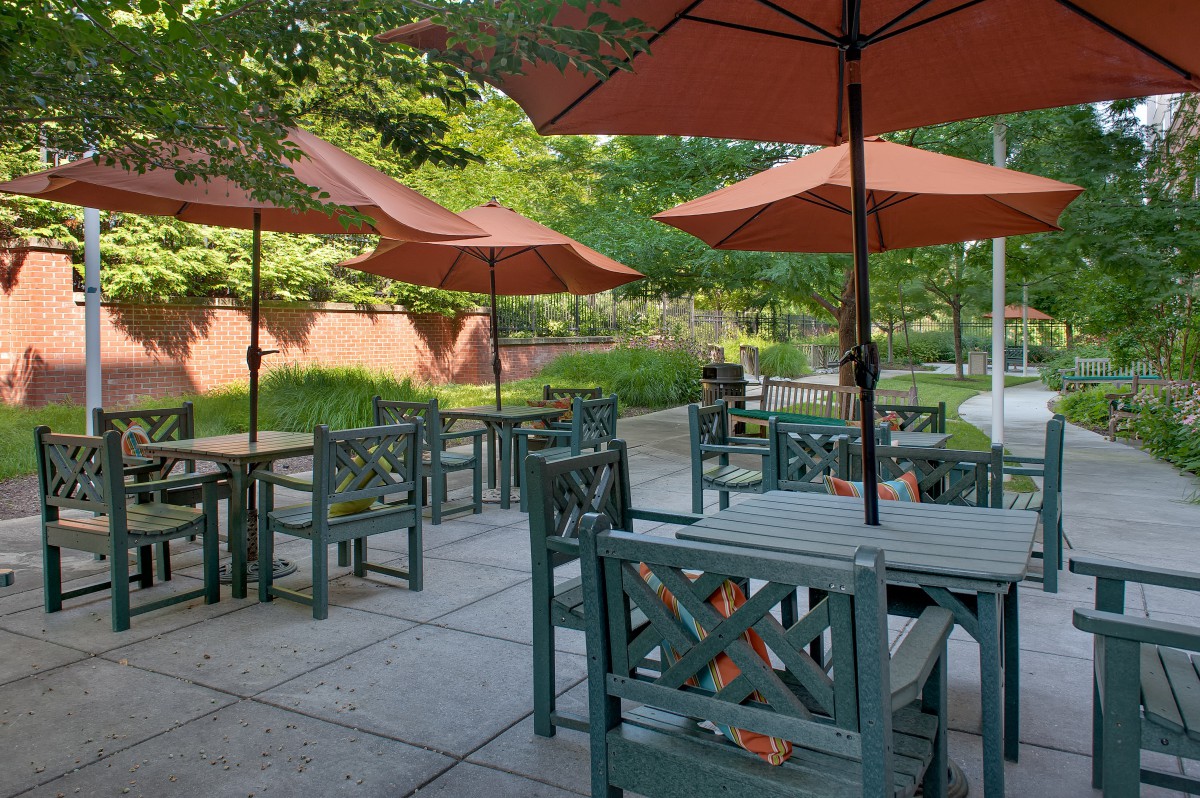 An inviting outdoor patio with tables and umbrellas surrounded by greenery.