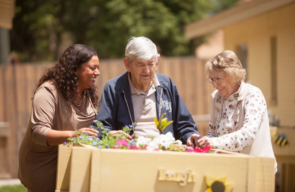 A group of people engaged in gardening activities outdoors.