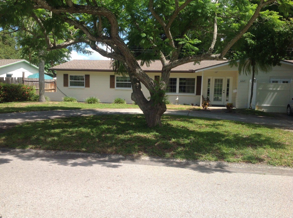 A suburban house with a large tree in the front yard on a sunny day.