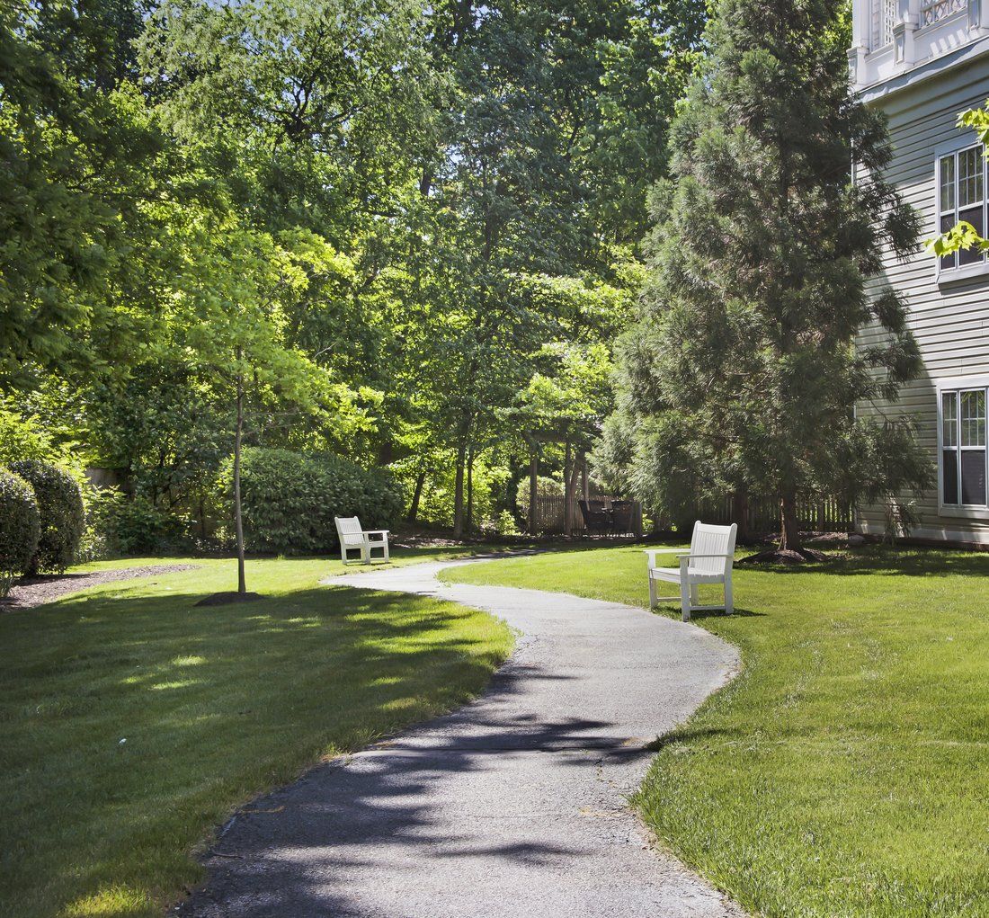 A paved pathway winding through a tranquil garden with benches and lush greenery.