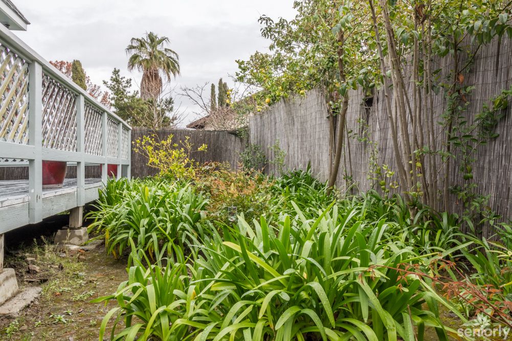A lush garden with various green plants and trees next to a wooden fence, featuring a palm tree in the distance.