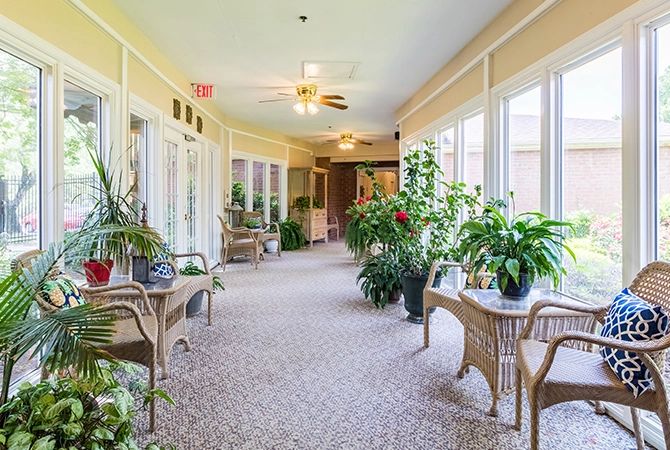 A bright hallway filled with lush green plants and wicker furniture, featuring large windows and a carpeted floor.