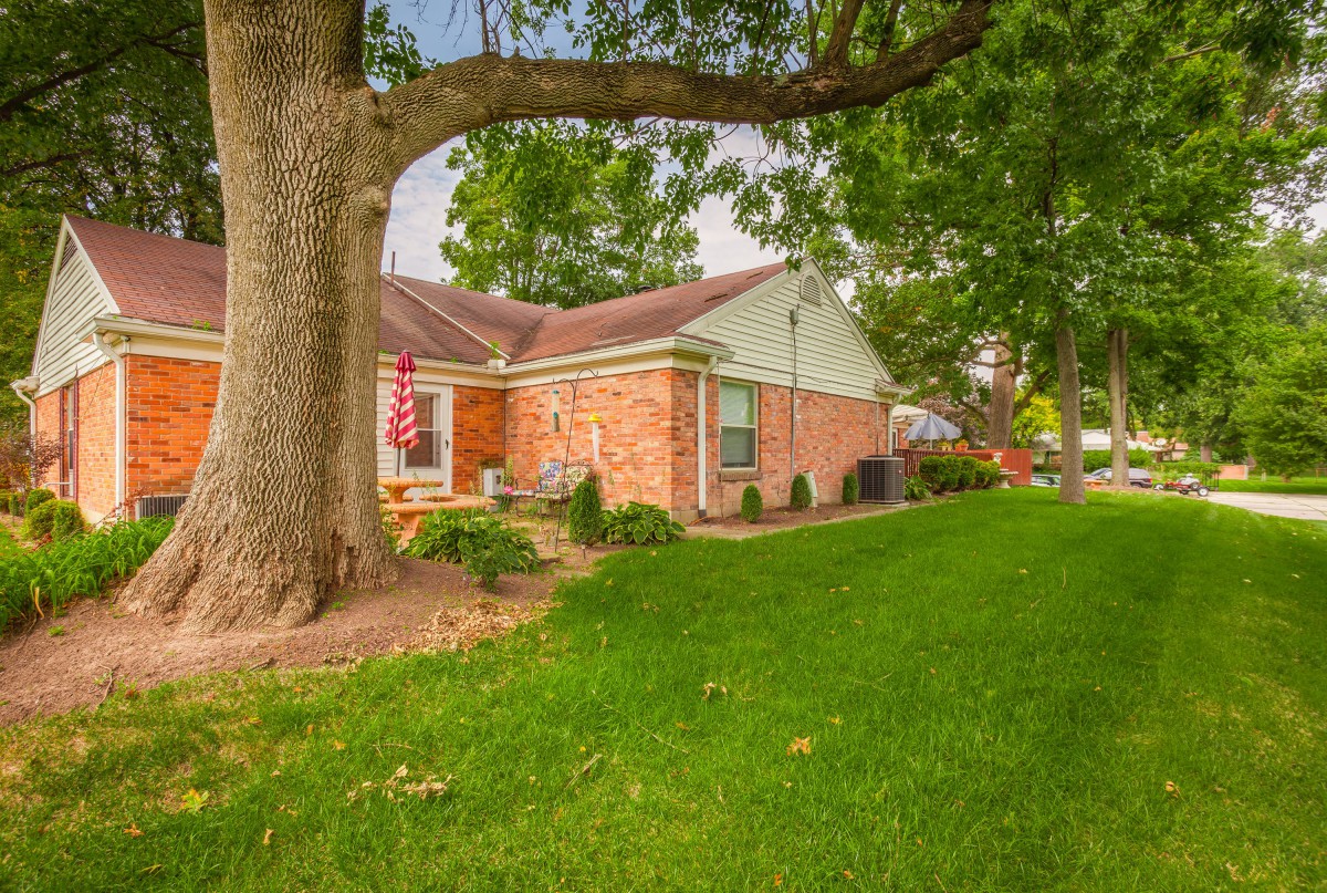 A brick house with a large tree and well-kept lawn in a suburban neighborhood.