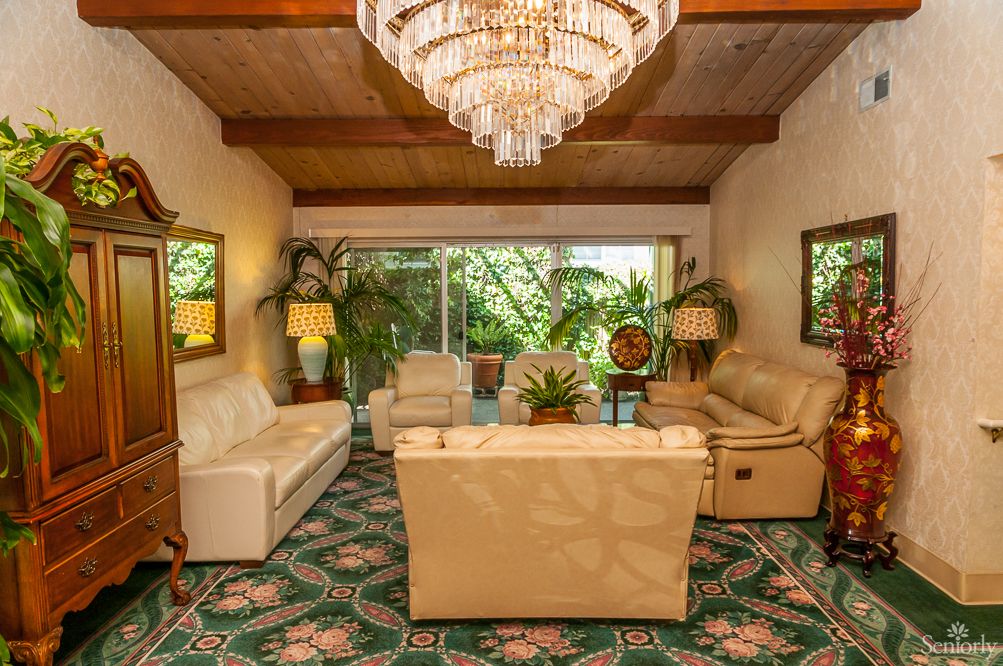 A vintage-style living room featuring leather sofas, a chandelier, and lush indoor plants.