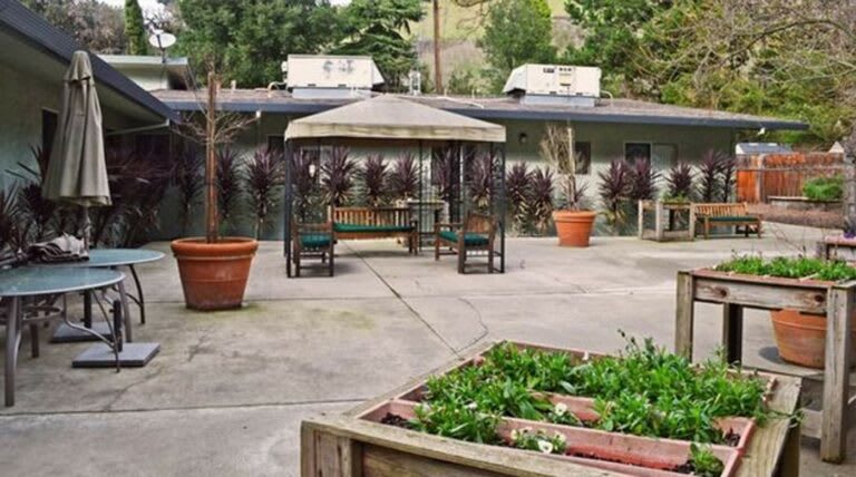 A tranquil garden patio with a gazebo and potted plants.