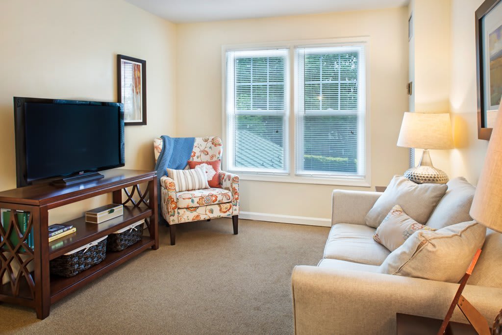 A cozy living room with a sofa, armchair, television, and window allowing natural light.
