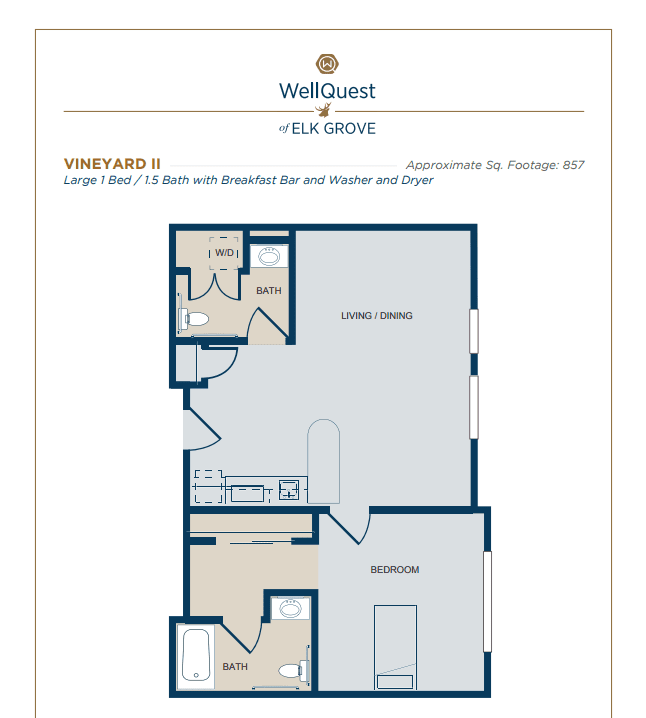 A floor plan for a one-bedroom, one-bathroom apartment at WebQuest by Terwilliger.