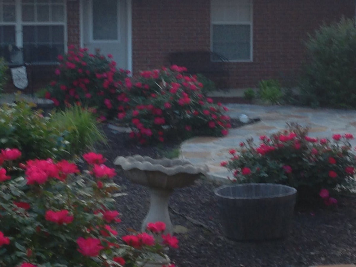 Providence Assisted Living