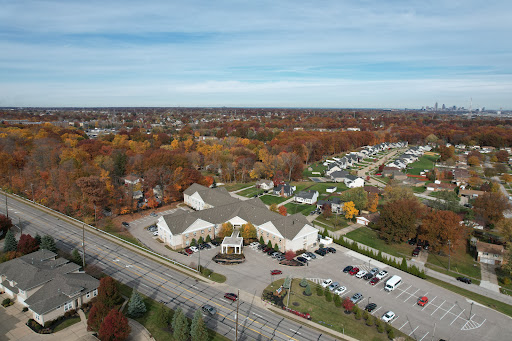 Aerial view of a residential neighborhood showcasing beautiful autumn foliage.
