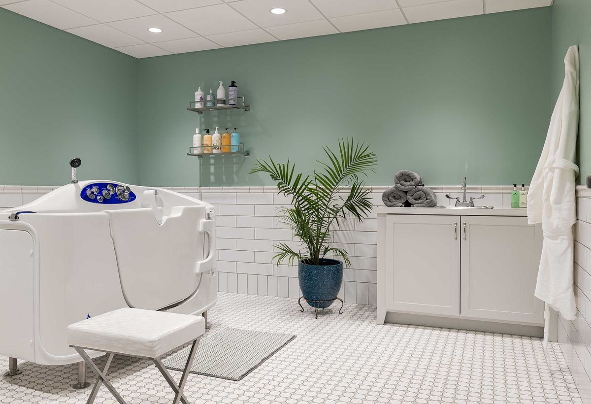 A modern bathroom with a bathtub, white tiles, and an indoor plant accentuated by a green wall.