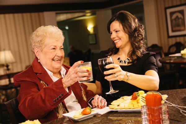 Two people enjoying a celebratory meal, clinking their glasses together in a cheerful toast.