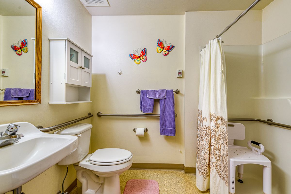A well-equipped bathroom with butterfly wall decorations, shower curtain, and safety grab bars.