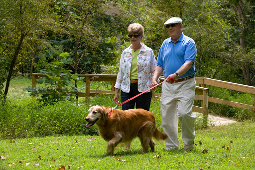 An elderly couple enjoys a stroll in the park with their golden retriever.