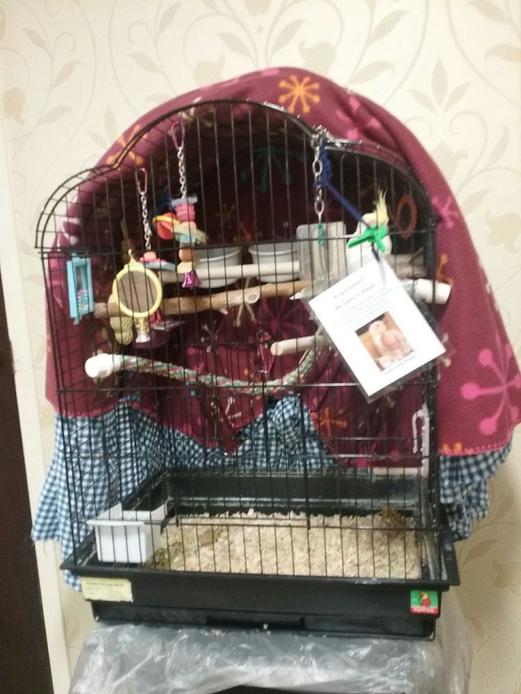 A well-furnished bird cage with toys and perches, partially covered with a cloth.