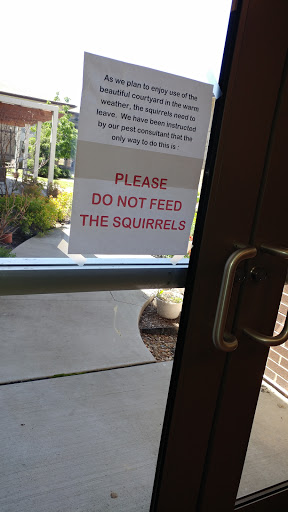 A sign advising visitors not to feed the squirrels.