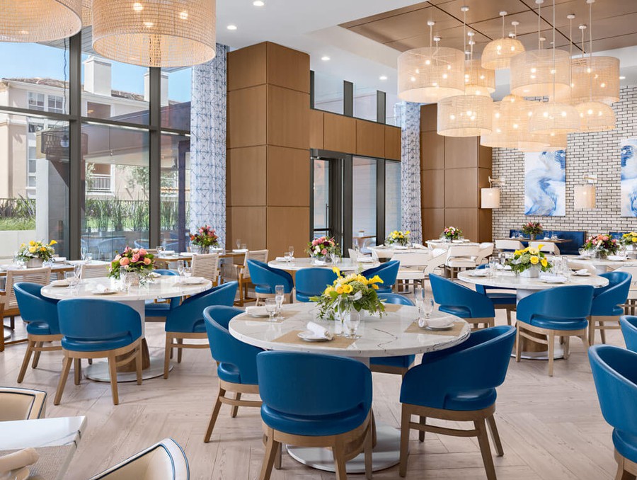 A modern restaurant interior with blue chairs and decorative lighting.