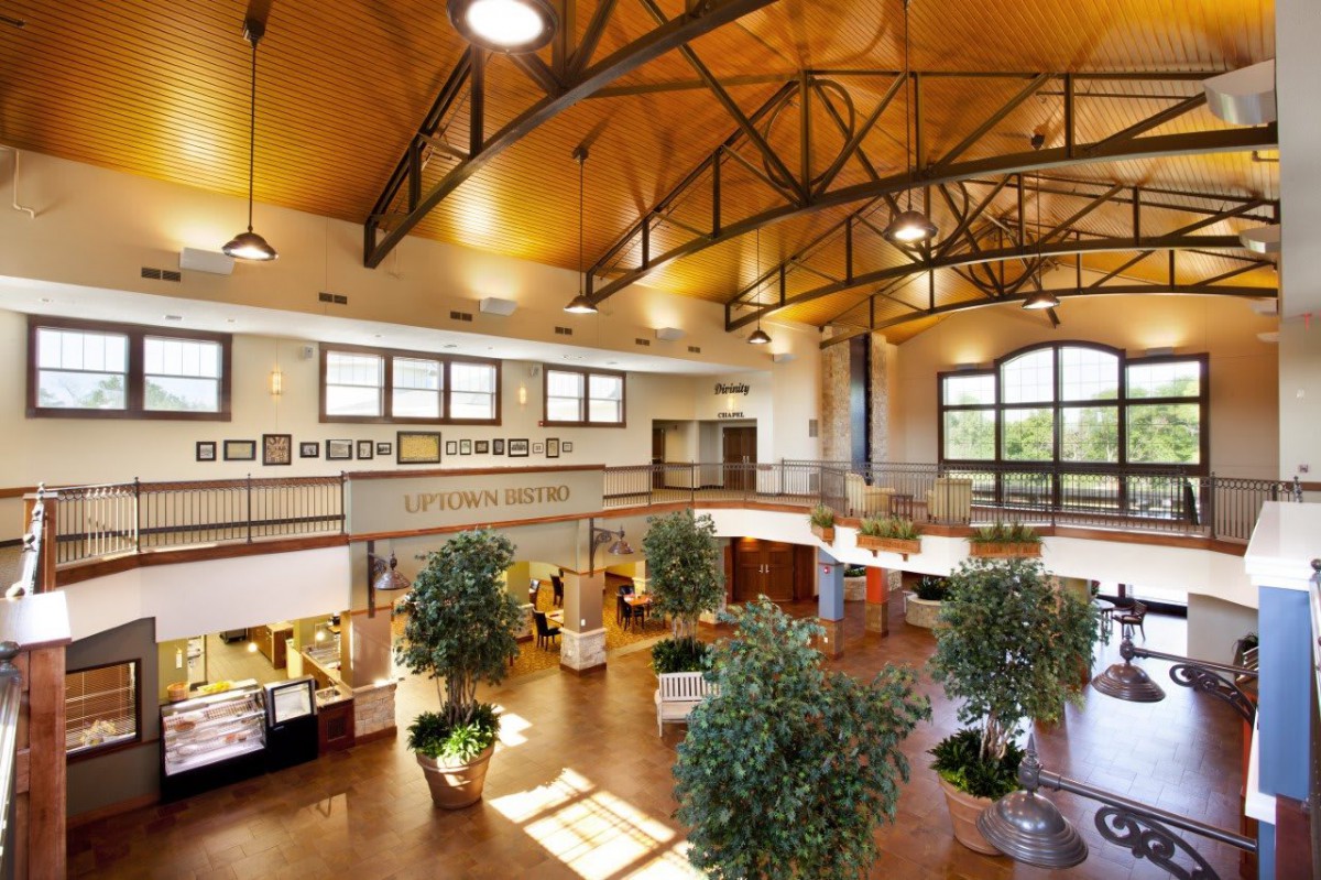A spacious library interior with large windows, wooden floors, and several indoor plants.