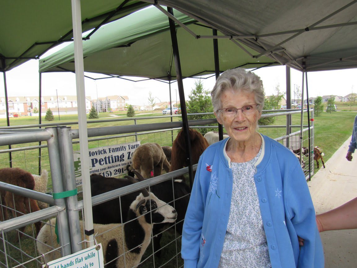 A woman standing outdoors near a pen with sheep.