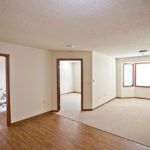 An empty living room with hardwood flooring, carpeted area, and multiple windows.
