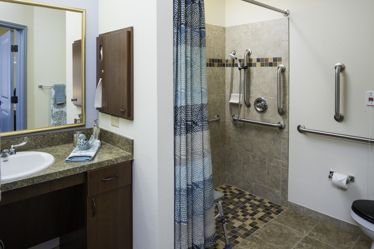 An accessible bathroom with a walk-in shower, grab bars, and a vanity area.