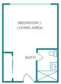 Floor plan of a studio apartment with a combined bedroom and living area, and a separate bathroom.