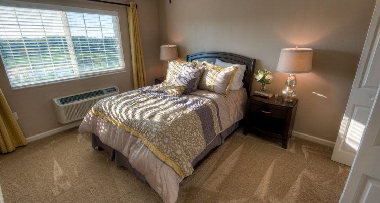 A cozy bedroom with a neatly made bed, soft lighting from table lamps, and a window letting in natural light.