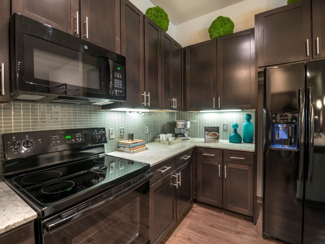 A modern kitchen with dark cabinetry and sleek appliances.