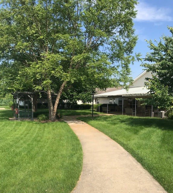 A sunny outdoor scene with a pathway leading through grass and trees towards a building.