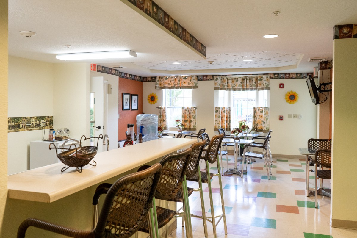 A bright and decorative kitchen and dining area featuring a long counter with bar stools and large windows.
