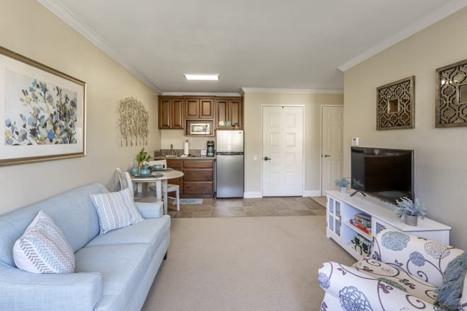 A cozy living room with a small kitchenette, featuring a sofa, television, and homey decor.