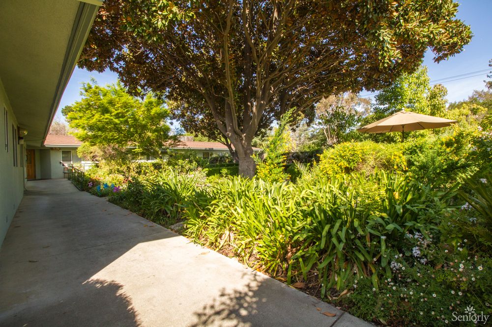 A peaceful garden scene with a sidewalk surrounded by lush greenery and trees.