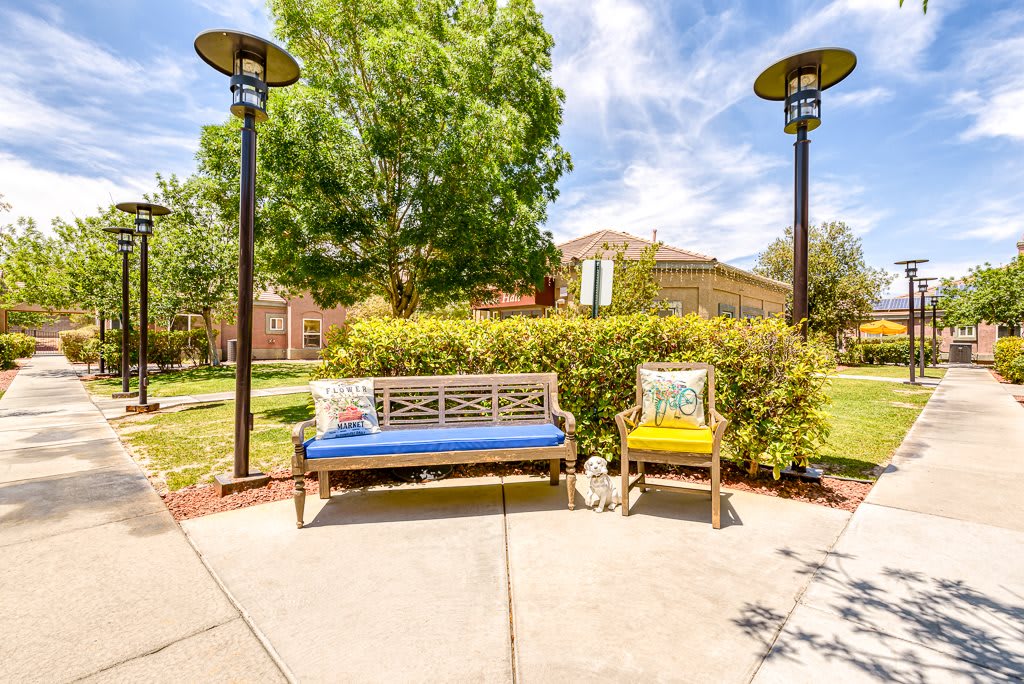 A sunny day in the park with benches and surrounding greenery.