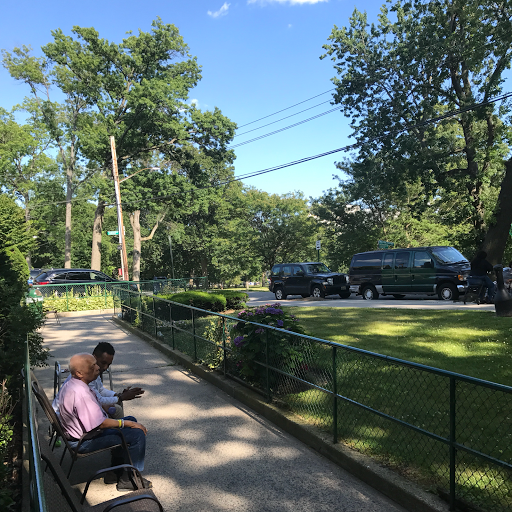 Two individuals enjoying a sunny day in the park.