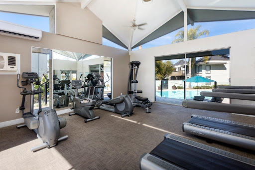 A bright and airy fitness room with modern exercise equipment, featuring large windows that offer a view of the pool.