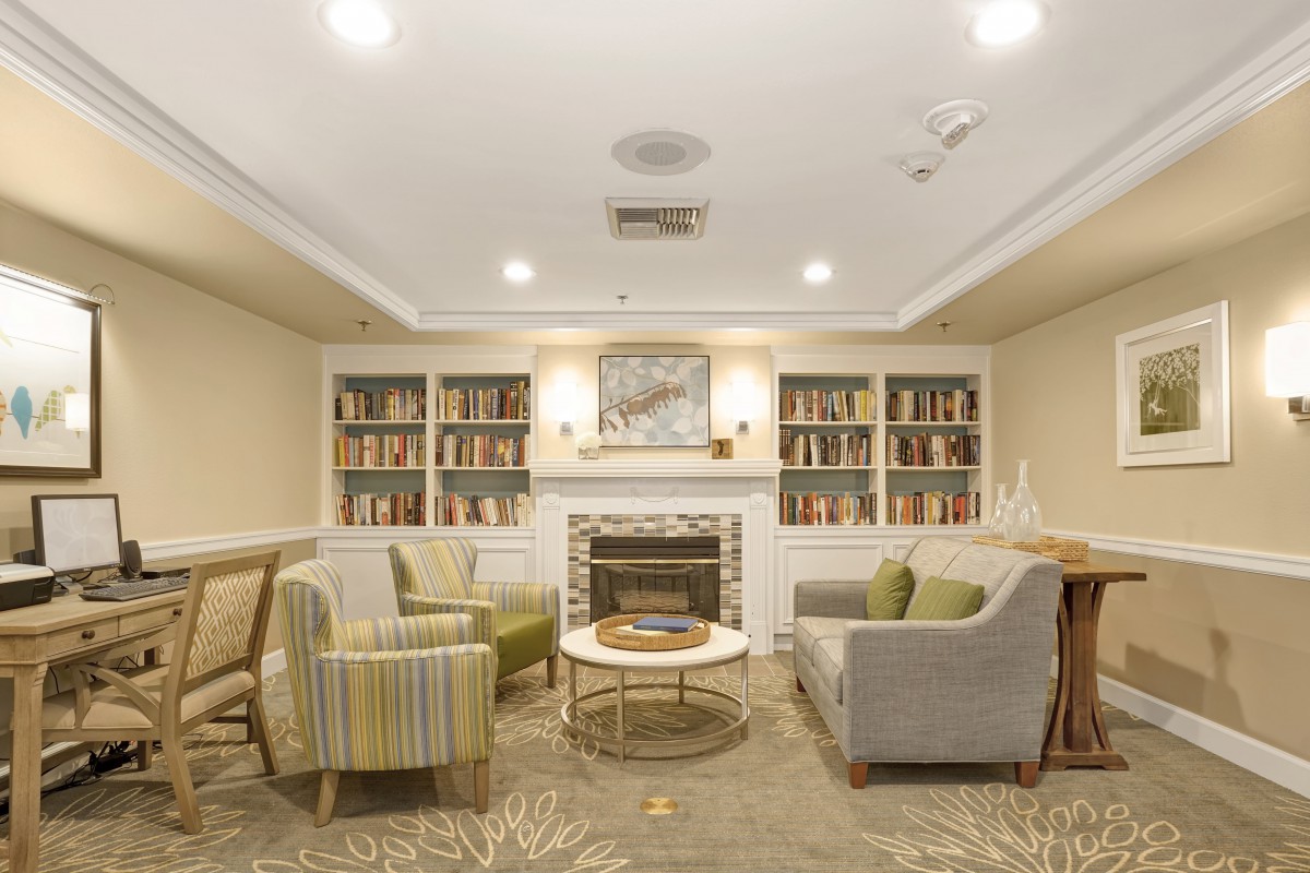 A cozy living room with a fireplace, surrounded by bookshelves and comfortable seating.