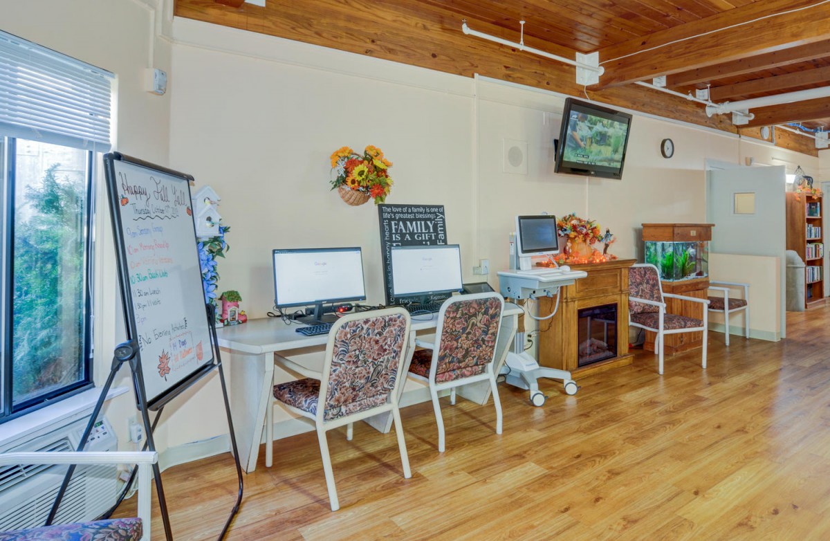 A cozy computer room with multiple workstations, featuring computers on desks, flower decorations, and a wall-mounted television.