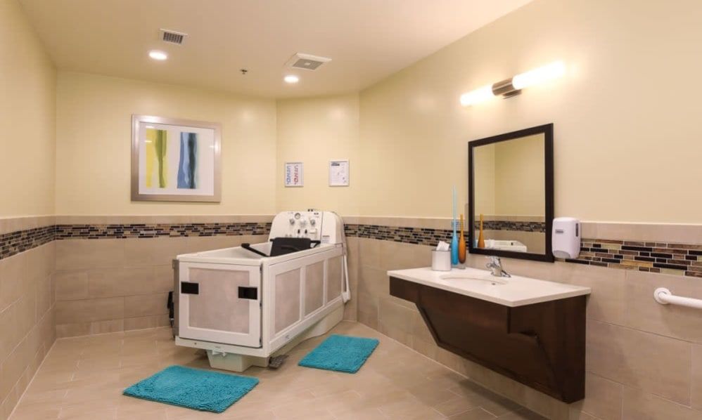 An accessible bathroom with specialized bathtub and sink designed for healthcare facilities.