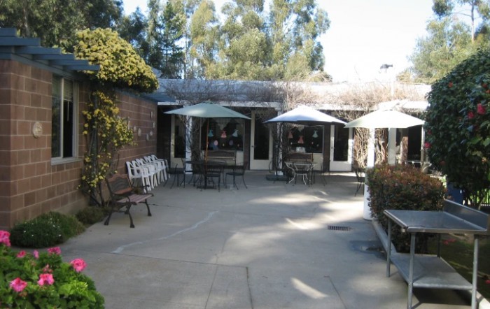 A sunny outdoor patio with tables, chairs, and umbrellas surrounded by greenery.