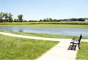 A serene park setting with a pathway beside a lake, surrounded by green grass and a bench for relaxation.