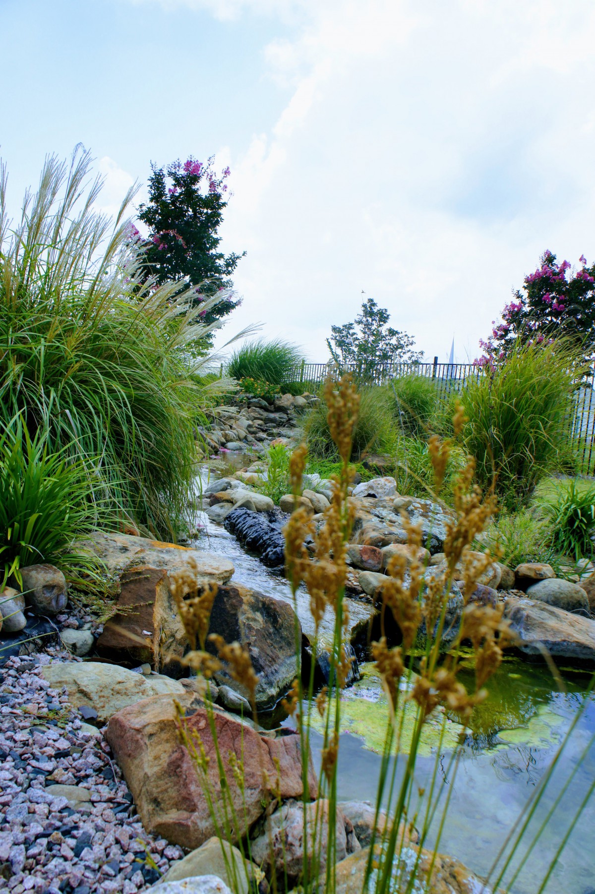AvilaCare Senior Living