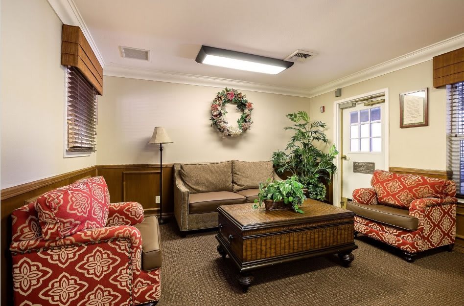 A cozy living room with a sofa, armchairs, and a coffee table surrounded by plants and decorative elements.