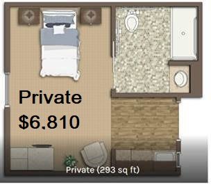 This image shows a floor plan for a private room with an attached bathroom, priced at $6,810 and measuring 293 square feet.